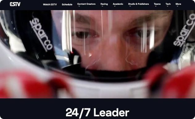 Website Design & Development example 1 by Good Wolf Marketing