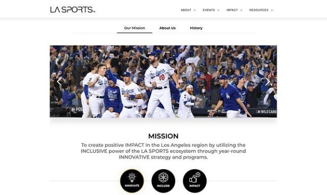 Website Design & Development example 4 by Good Wolf Marketing