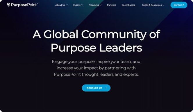Website Design & Development example 7 by Good Wolf Marketing